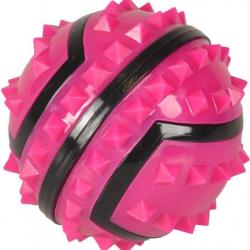 Jouet Spiky Balle Fuchsia Noir