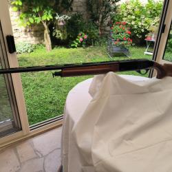 fusil semi automatique calibre 20