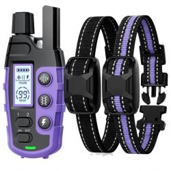 Collier de dressage pour chien avec télécommande avec écran - Violet - 2 colliers