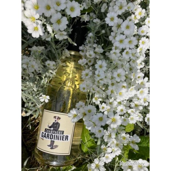 Champagne GARDINIER Blanc de Blancs