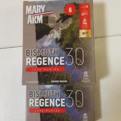 CARTOUCHES MARY ARM BISMUTH REGENCE 30 LOT DE DEUX BOITES DE 10