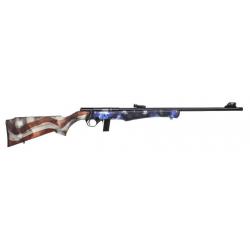 Carabine 8122 22LR - USA - Braderie Automne