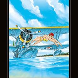 Des avions de légende ARMES ou Désarmés PIN UP WINGS Tome 1 avec de très belles PIN UP SEXY SUPERBE