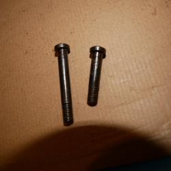 Paire de Vis de Pontet de Carcano 1891