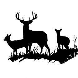 Cerf biche bichette  1x Autocollant déco voiture camping car ou autres plusieurs couleurs dispo