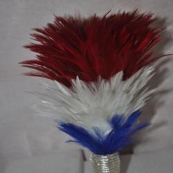 plume en plume de coq bleu blanc rouge pour le casque de la gendarmerie1912 et son olive argent