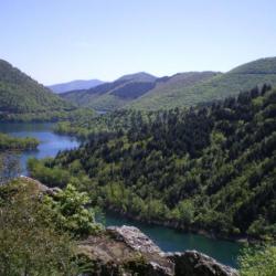 journée chasse grand gibier dans le nord de l'Hérault (cp: 34260)