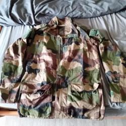 Veste militaire Leo minor. T4