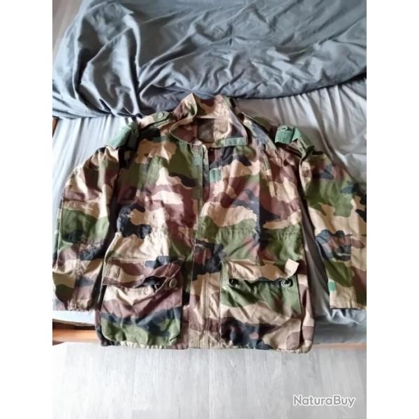 Veste militaire Leo minor. T4