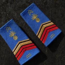 ECOLE SPECIALE MILITAIRE / PAIRE EPAULETTES /   ETAT NEUF