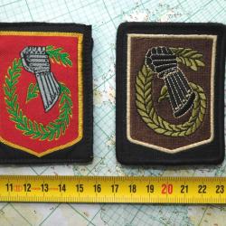 6° BRIGADE DIVISION BLINDEE LEGERE / 2 PATCHS :  1 COULEUR / 1 BASSE VISIBILITE