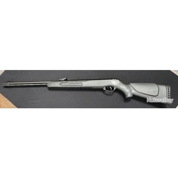 Carabine Gamo Big Cat CF-S - 4.5mm - 19.90 Joules - Canon fixe