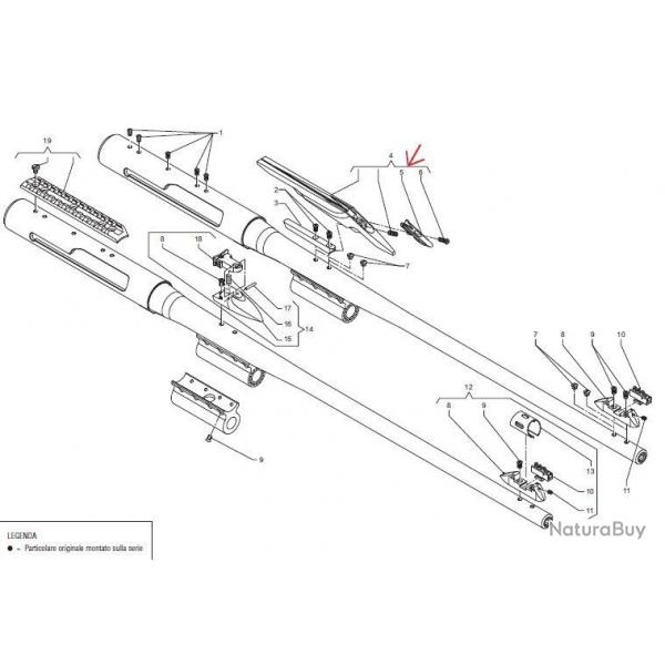 Hausse fibre optique pour Benelli Argo E