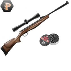 Carabine à plombs Stoeger RX20 bois dynamic hausse et guidon cal4.5 19.9J + lunette + mun