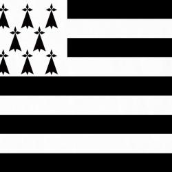 Drapeau Breton 220X75