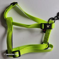 Harnais chien réglable,  taille moyenne vert pomme  pour  chien, solide