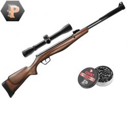 Carabine à plomb Stoeger RX40 cal.4.5 19.9J + lunette + mun