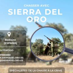 CHASSE A LA GRIVE EN ESPAGNE