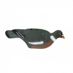 Pigeon 1/2 coque HD