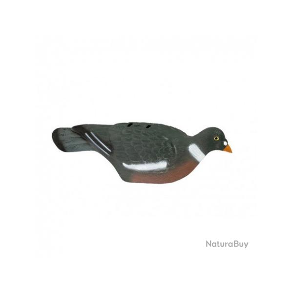 Pigeon 1/2 coque HD