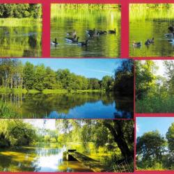 33,3083 ha - DOMAINE DES ROUSSEAUX - ( 18 ) CHER