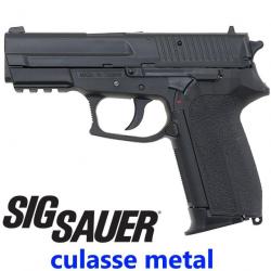 Réplique Sig Sauer SP2022 CO2 - Pistolet Airsoft Culasse Métal, Calibre 6mm, Capacité 15BBs