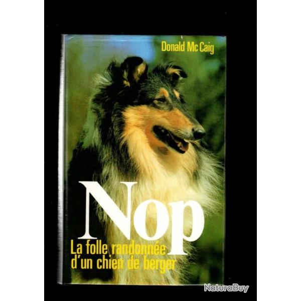 nop la folle randonne d'un chien de berger de donald mc caig vol de chien