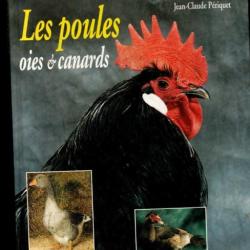 les poules oies et canards de jean-claude périquet