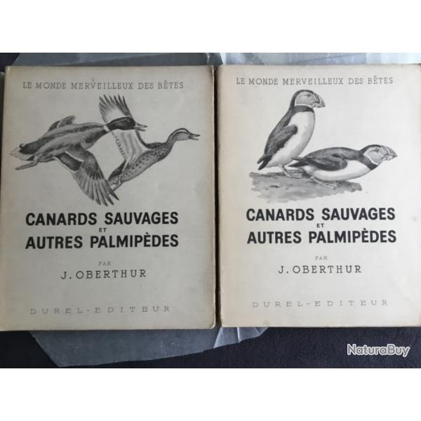 CANARDS SAUVAGES ET AUTRES PALMIPDES - 2 VOLUMES - J.OBERTHUR - 1948 - CHASSE