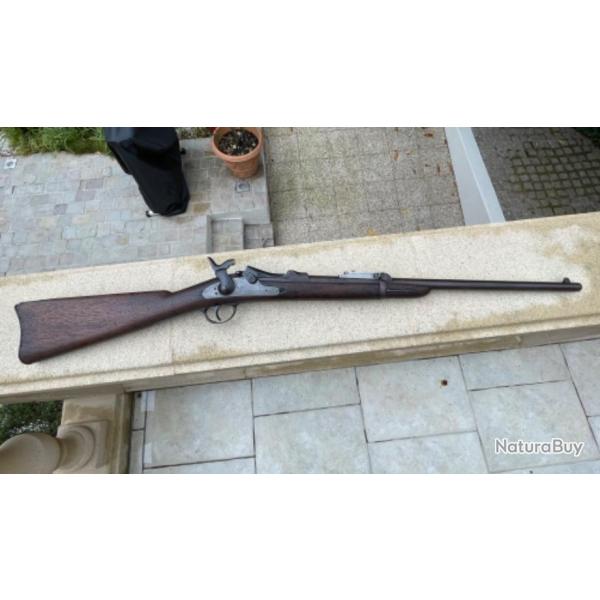 Carabine Springfield Trapdoor 1884 d'origine calibre 45/70