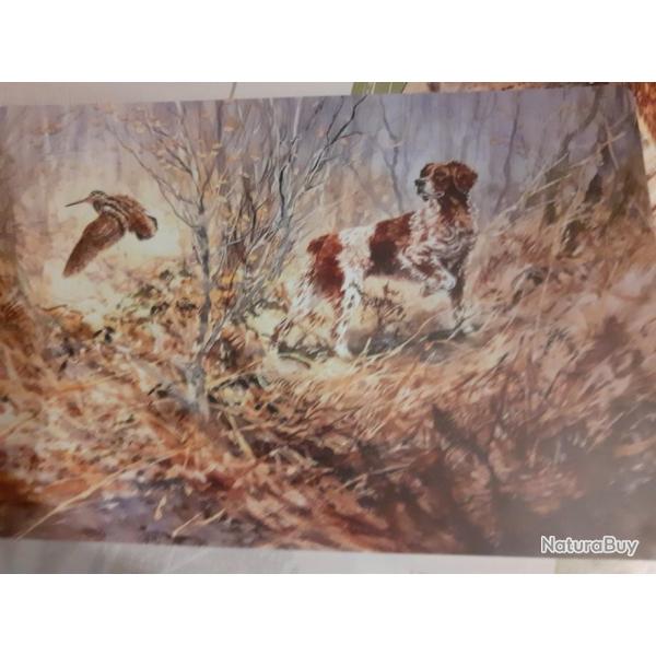 Lot de 6 sets de table motif chasse