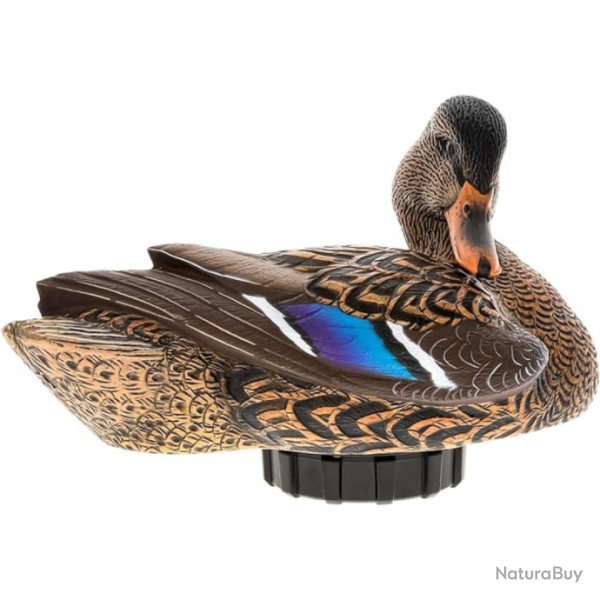 Forme de canard en mouvement POWER SHAKER - AVIANX Femelle colvert au repos