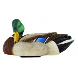 Forme de canard en mouvement POWER SHAKER - AVIANX Mâle colvert au repos