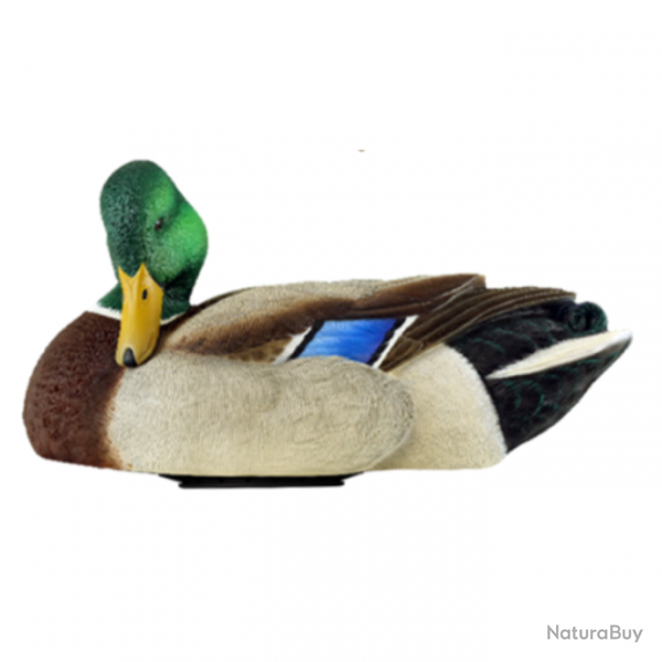 Forme de canard en mouvement POWER SHAKER - AVIANX Mle colvert au repos