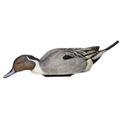 Forme de canard en mouvement POWER SHAKER - AVIANX Mâle pilet mangeur