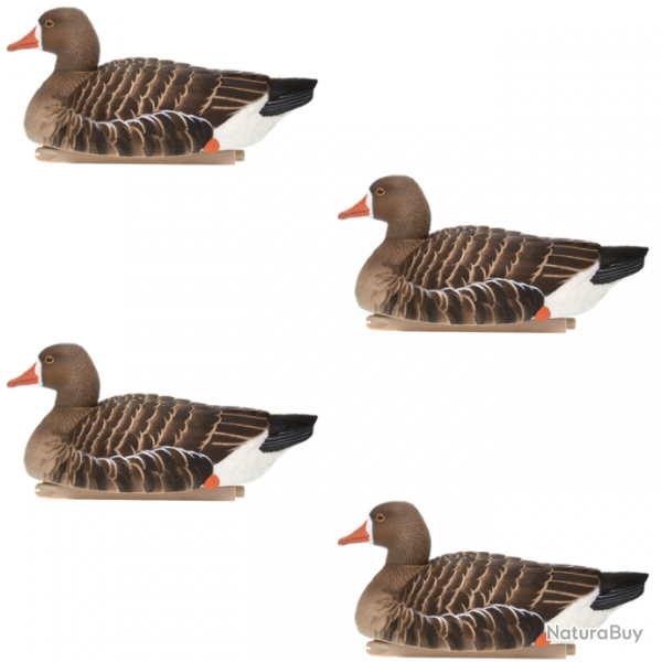 Formes d'oie rieuse flottantes x4 - AVIANX