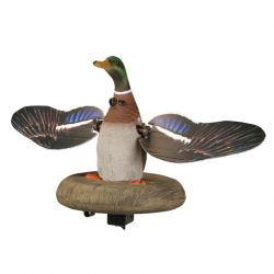 Formes de canard colvert XS Flasher - HIGDON