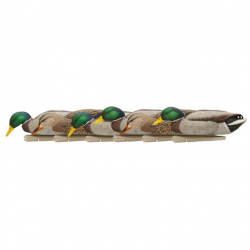 Formes de canard colvert BACK WATER - AVIANX