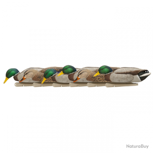 Formes de canard colvert BACK WATER - AVIANX