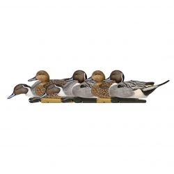 Formes de canard pilet - AVIANX