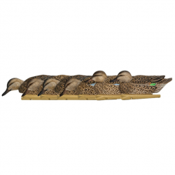 Formes de sarcelle Early Season - AvianX