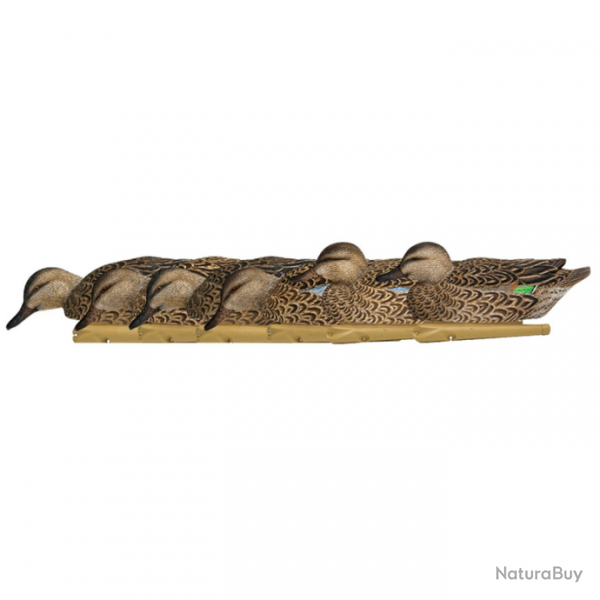 Formes de sarcelle Early Season - AvianX