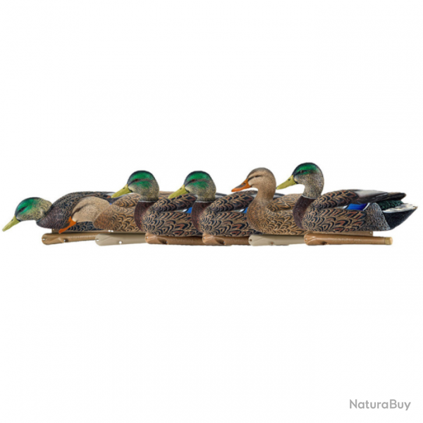 Formes de canard colvert Early Season - AVIANX