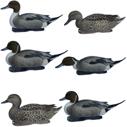 Formes de canard pilet Pro Grade Series - GHG