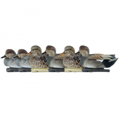 Formes de canard chipeau - AVIANX