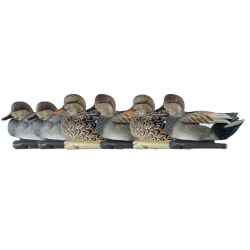 Formes de canard chipeau - AVIANX
