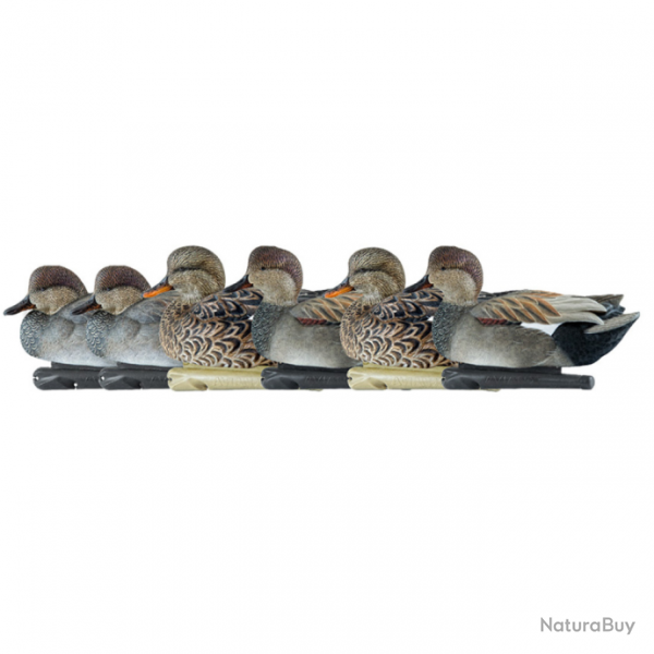 Formes de canard chipeau - AVIANX