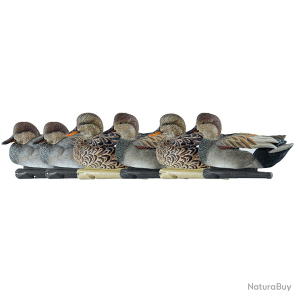 Formes de canard chipeau - AVIANX