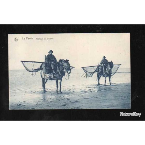 la panne belgique pecheurs de crevettes  cheval , flandre occidentale