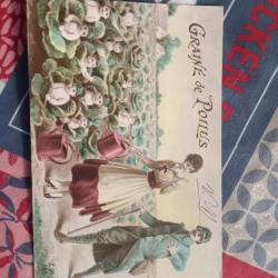 Carte postale cpa ww1 graine de poilus